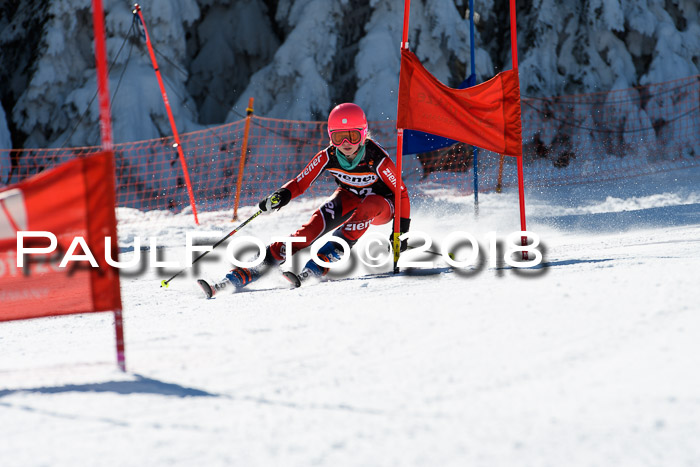 Ziener Cup WF, Finale, Quali + Parallelslalom, 24.03.2018