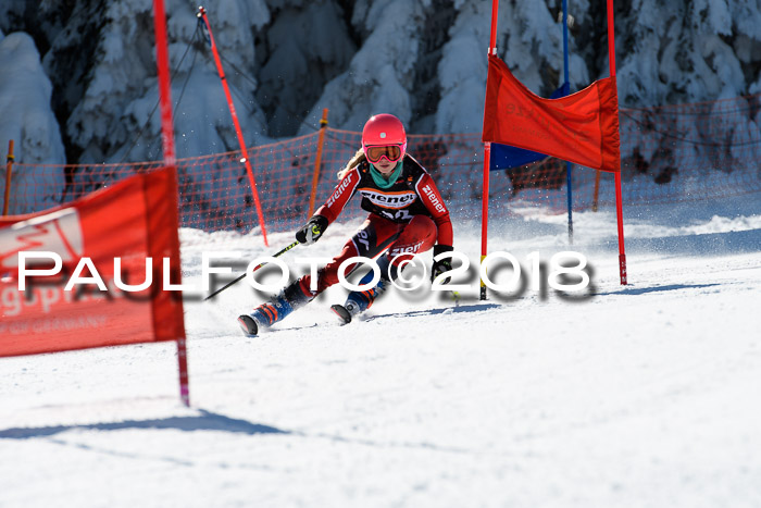 Ziener Cup WF, Finale, Quali + Parallelslalom, 24.03.2018