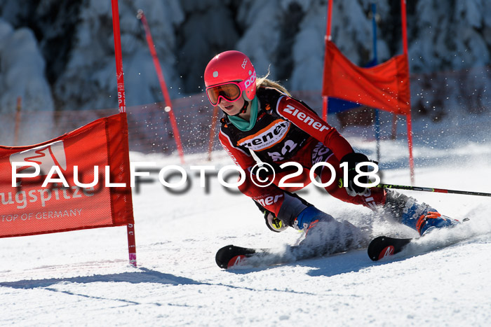 Ziener Cup WF, Finale, Quali + Parallelslalom, 24.03.2018