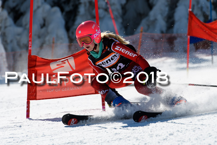 Ziener Cup WF, Finale, Quali + Parallelslalom, 24.03.2018