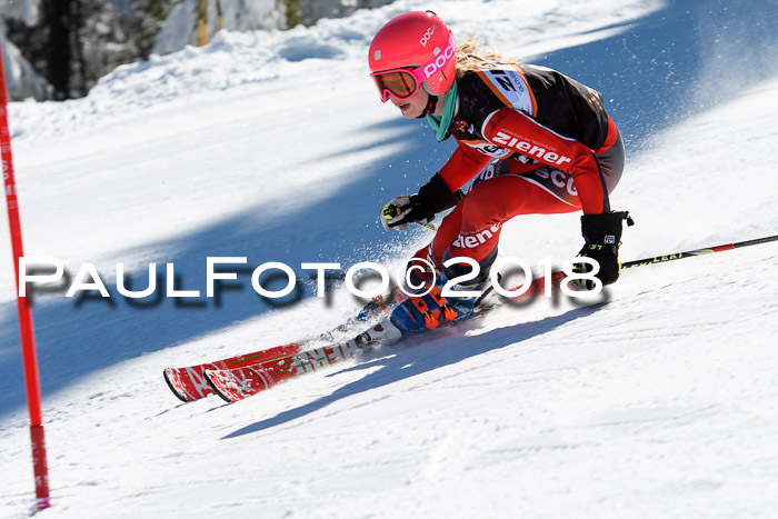 Ziener Cup WF, Finale, Quali + Parallelslalom, 24.03.2018