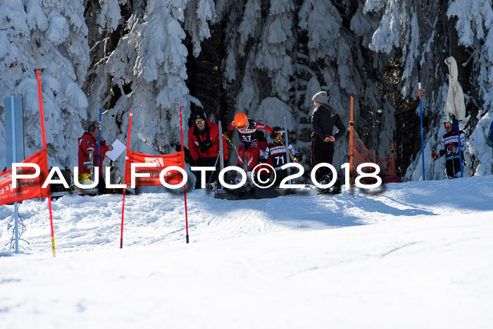Ziener Cup WF, Finale, Quali + Parallelslalom, 24.03.2018