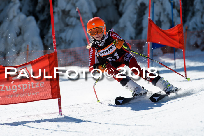 Ziener Cup WF, Finale, Quali + Parallelslalom, 24.03.2018