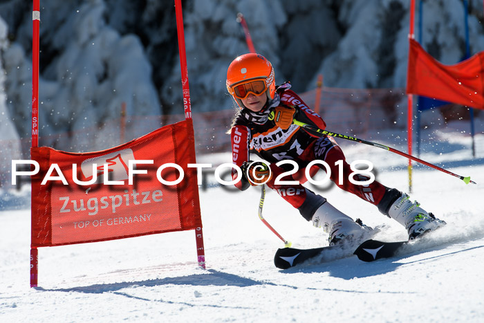 Ziener Cup WF, Finale, Quali + Parallelslalom, 24.03.2018