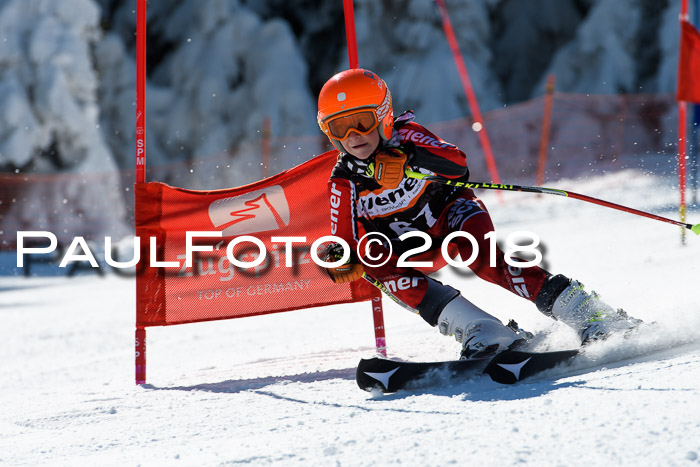 Ziener Cup WF, Finale, Quali + Parallelslalom, 24.03.2018