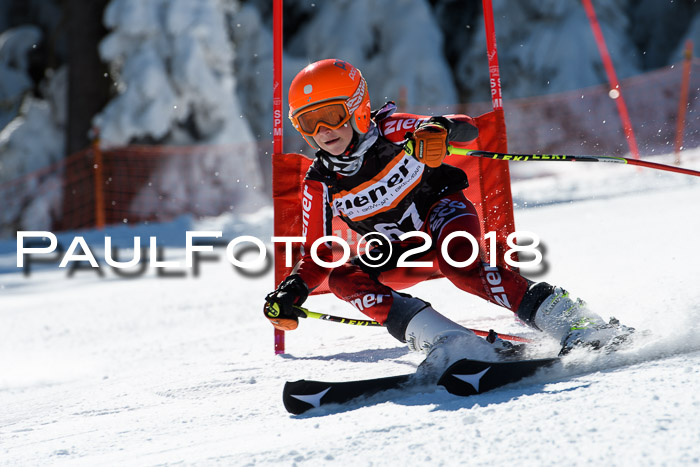 Ziener Cup WF, Finale, Quali + Parallelslalom, 24.03.2018