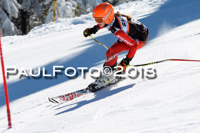 Ziener Cup WF, Finale, Quali + Parallelslalom, 24.03.2018
