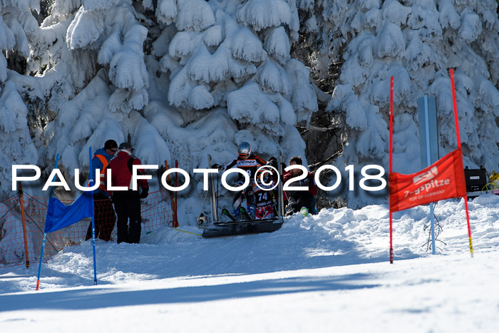 Ziener Cup WF, Finale, Quali + Parallelslalom, 24.03.2018
