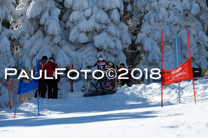 Ziener Cup WF, Finale, Quali + Parallelslalom, 24.03.2018