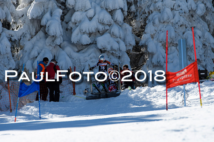 Ziener Cup WF, Finale, Quali + Parallelslalom, 24.03.2018