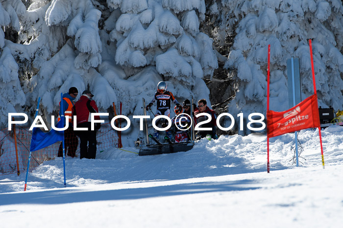 Ziener Cup WF, Finale, Quali + Parallelslalom, 24.03.2018