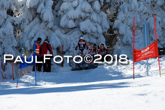 Ziener Cup WF, Finale, Quali + Parallelslalom, 24.03.2018