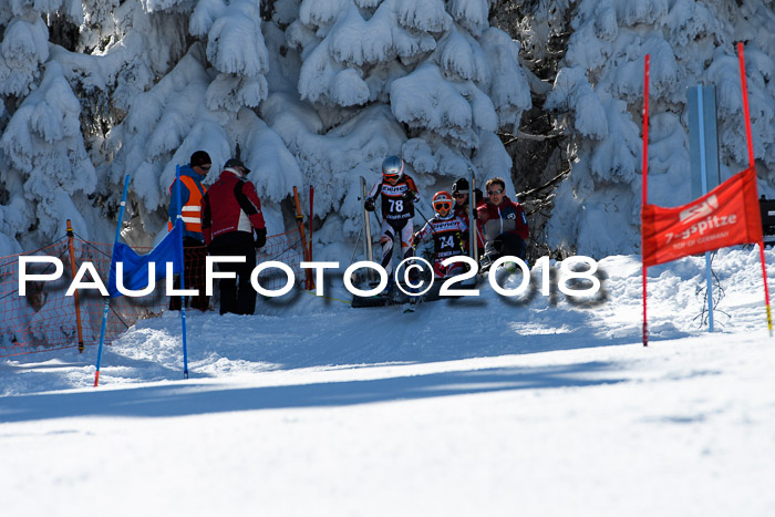 Ziener Cup WF, Finale, Quali + Parallelslalom, 24.03.2018