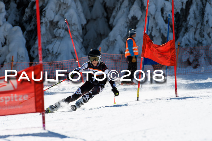 Ziener Cup WF, Finale, Quali + Parallelslalom, 24.03.2018