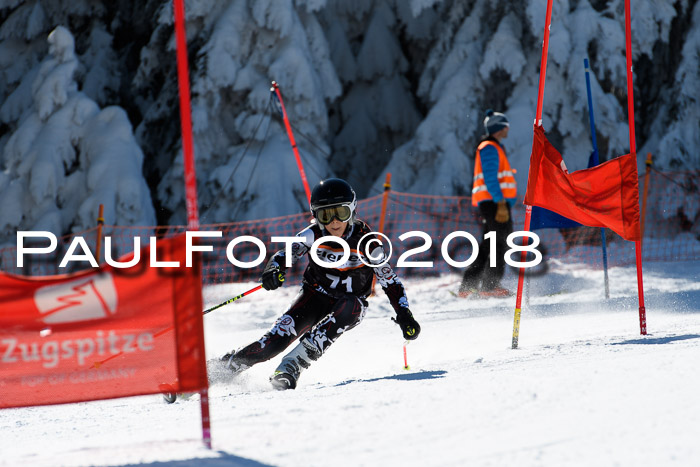 Ziener Cup WF, Finale, Quali + Parallelslalom, 24.03.2018