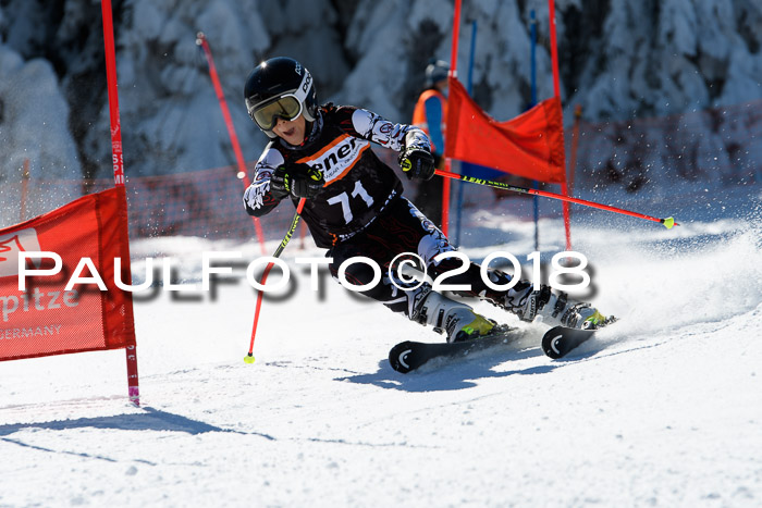 Ziener Cup WF, Finale, Quali + Parallelslalom, 24.03.2018