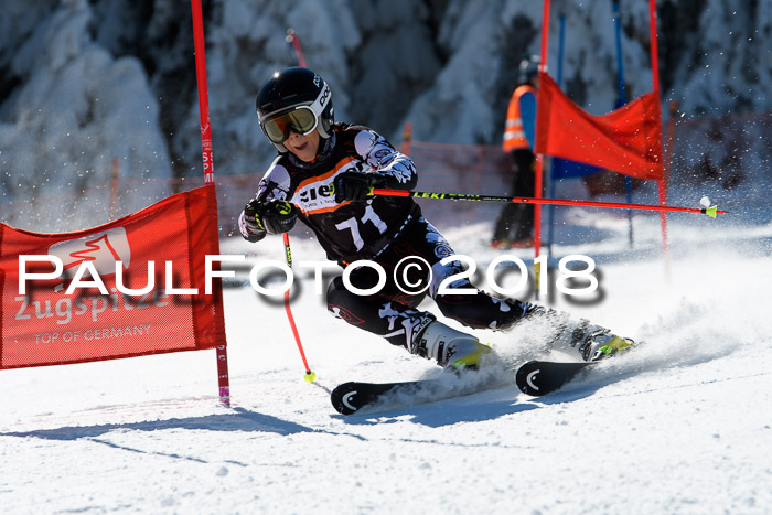 Ziener Cup WF, Finale, Quali + Parallelslalom, 24.03.2018