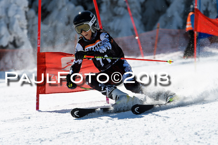 Ziener Cup WF, Finale, Quali + Parallelslalom, 24.03.2018