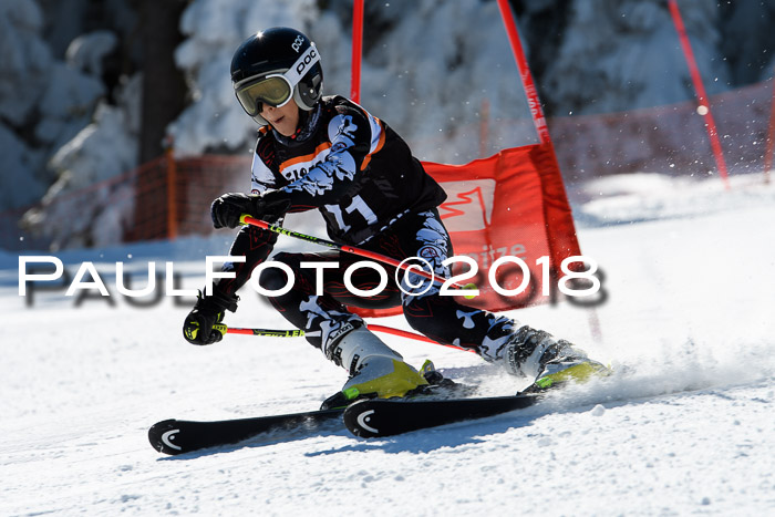 Ziener Cup WF, Finale, Quali + Parallelslalom, 24.03.2018