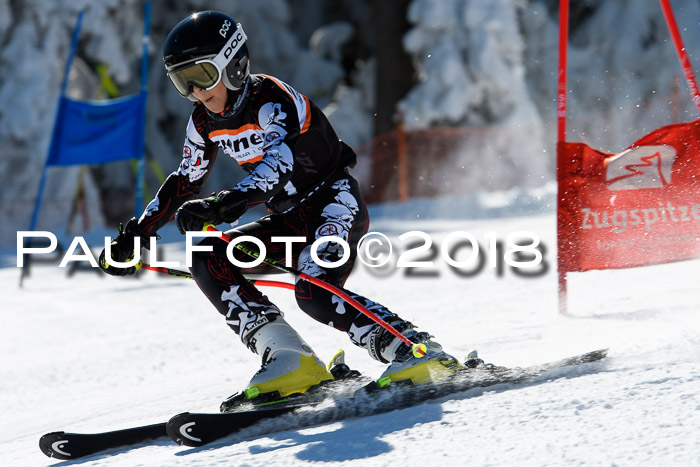 Ziener Cup WF, Finale, Quali + Parallelslalom, 24.03.2018