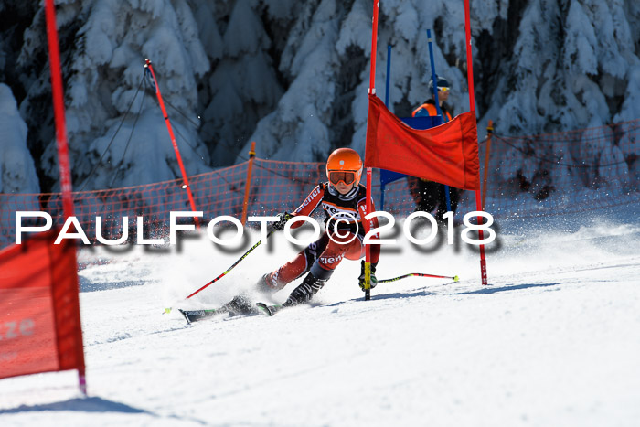 Ziener Cup WF, Finale, Quali + Parallelslalom, 24.03.2018