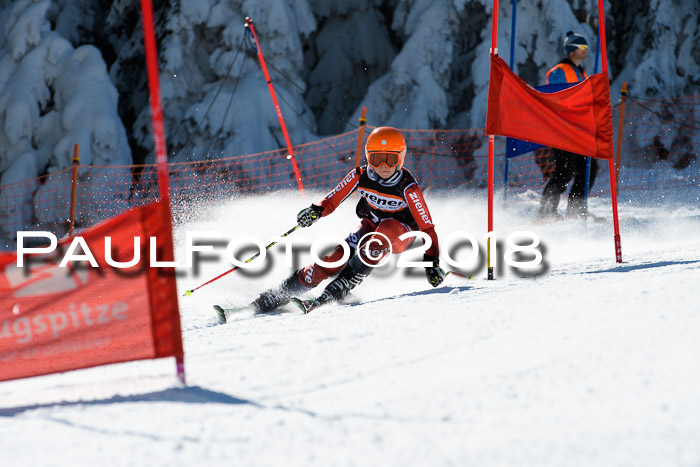 Ziener Cup WF, Finale, Quali + Parallelslalom, 24.03.2018