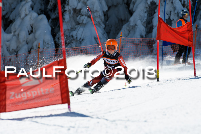 Ziener Cup WF, Finale, Quali + Parallelslalom, 24.03.2018