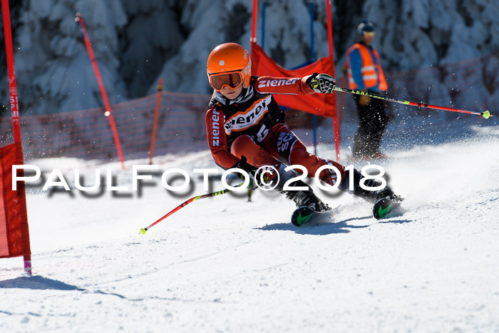 Ziener Cup WF, Finale, Quali + Parallelslalom, 24.03.2018