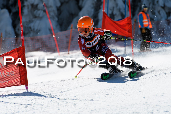 Ziener Cup WF, Finale, Quali + Parallelslalom, 24.03.2018