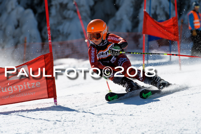 Ziener Cup WF, Finale, Quali + Parallelslalom, 24.03.2018