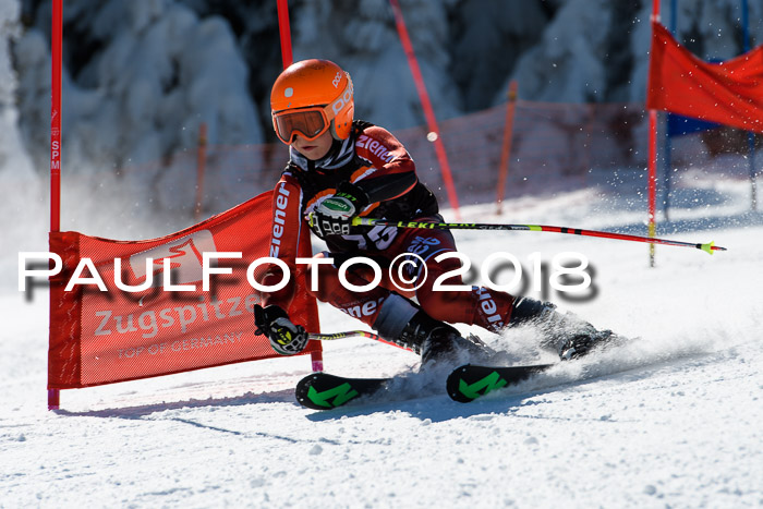 Ziener Cup WF, Finale, Quali + Parallelslalom, 24.03.2018