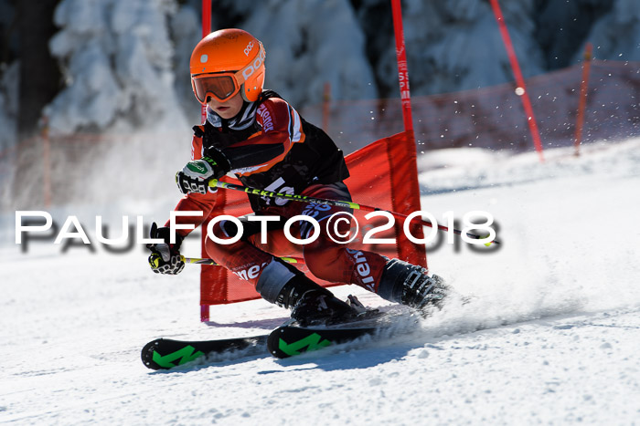 Ziener Cup WF, Finale, Quali + Parallelslalom, 24.03.2018