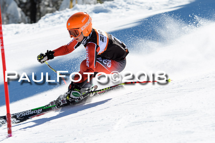Ziener Cup WF, Finale, Quali + Parallelslalom, 24.03.2018