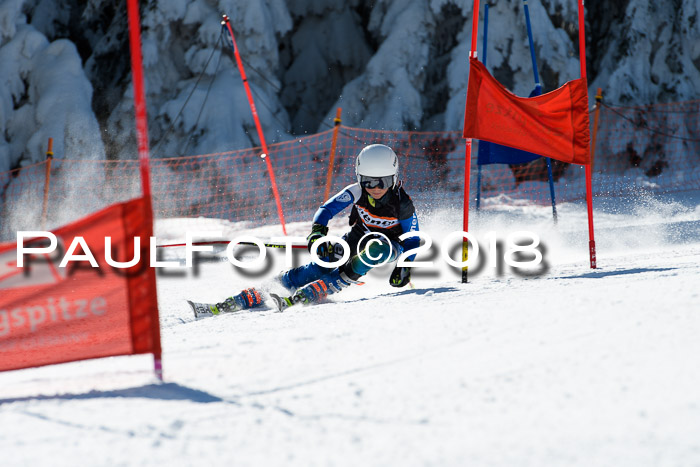 Ziener Cup WF, Finale, Quali + Parallelslalom, 24.03.2018