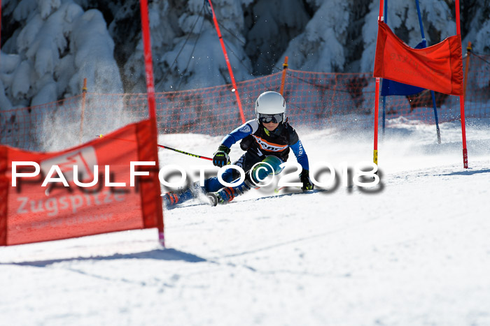 Ziener Cup WF, Finale, Quali + Parallelslalom, 24.03.2018