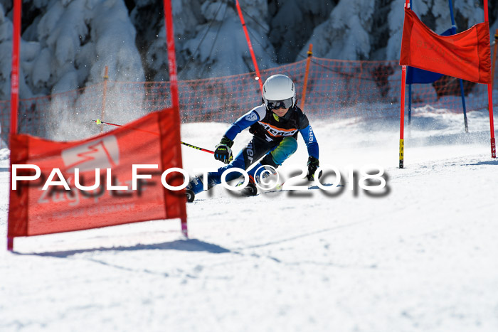 Ziener Cup WF, Finale, Quali + Parallelslalom, 24.03.2018