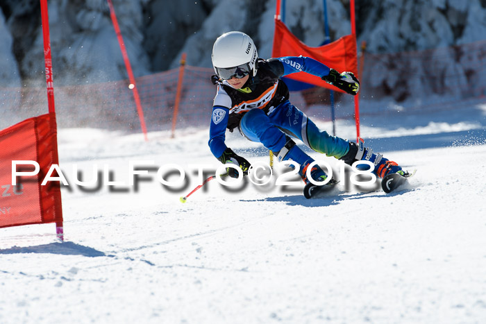 Ziener Cup WF, Finale, Quali + Parallelslalom, 24.03.2018