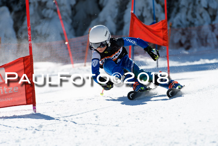 Ziener Cup WF, Finale, Quali + Parallelslalom, 24.03.2018