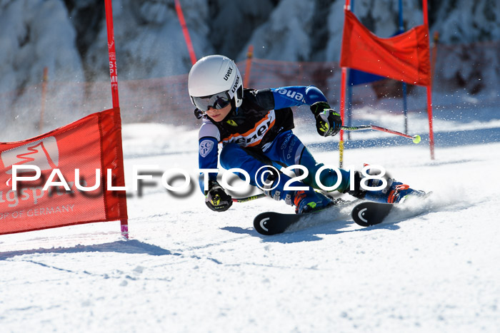 Ziener Cup WF, Finale, Quali + Parallelslalom, 24.03.2018