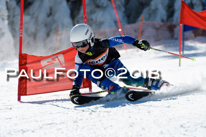Ziener Cup WF, Finale, Quali + Parallelslalom, 24.03.2018