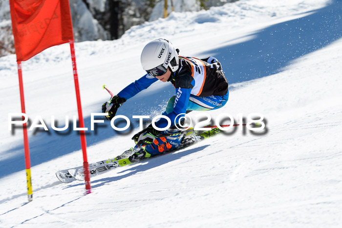 Ziener Cup WF, Finale, Quali + Parallelslalom, 24.03.2018