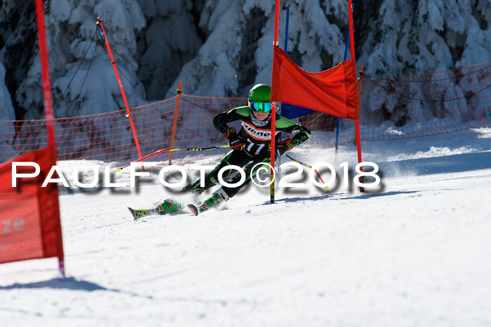 Ziener Cup WF, Finale, Quali + Parallelslalom, 24.03.2018