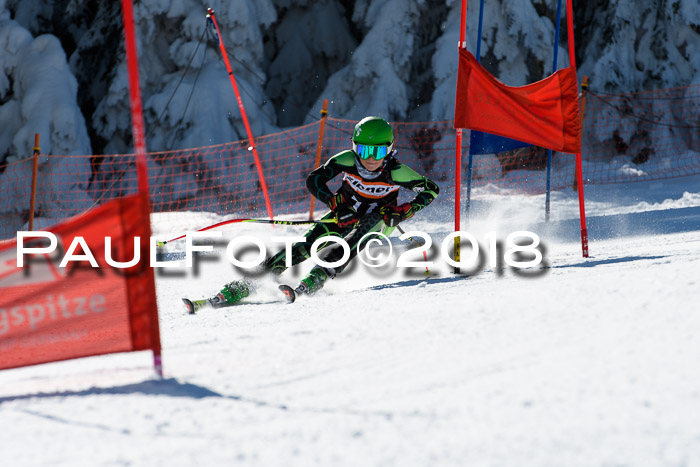Ziener Cup WF, Finale, Quali + Parallelslalom, 24.03.2018