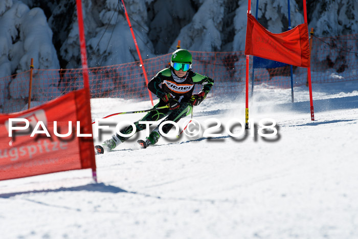 Ziener Cup WF, Finale, Quali + Parallelslalom, 24.03.2018