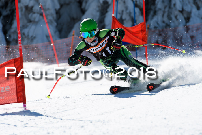 Ziener Cup WF, Finale, Quali + Parallelslalom, 24.03.2018