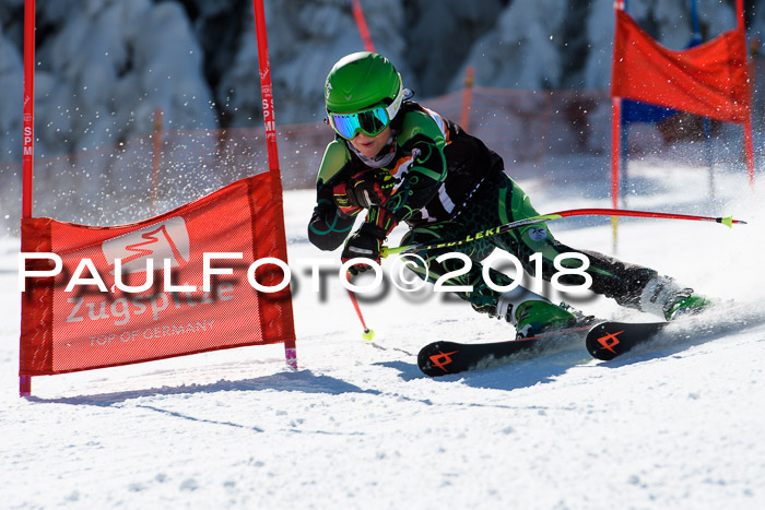 Ziener Cup WF, Finale, Quali + Parallelslalom, 24.03.2018