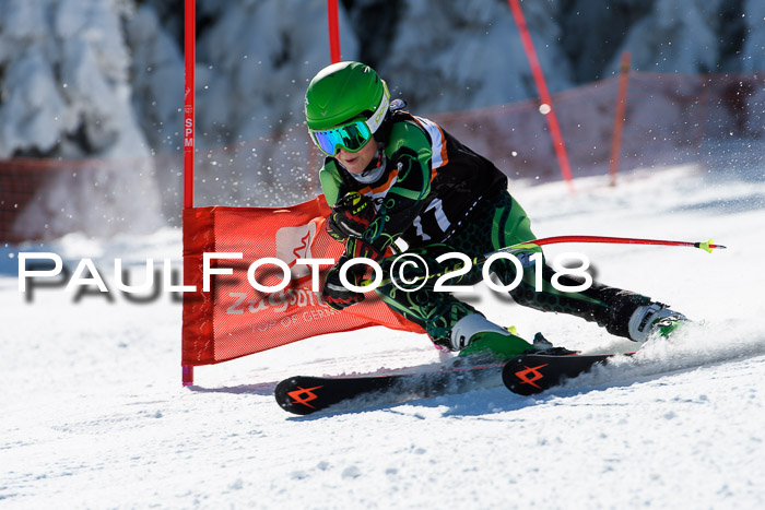Ziener Cup WF, Finale, Quali + Parallelslalom, 24.03.2018