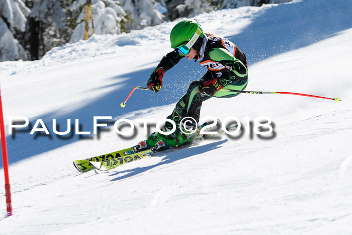 Ziener Cup WF, Finale, Quali + Parallelslalom, 24.03.2018