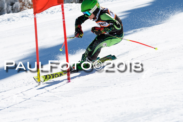 Ziener Cup WF, Finale, Quali + Parallelslalom, 24.03.2018