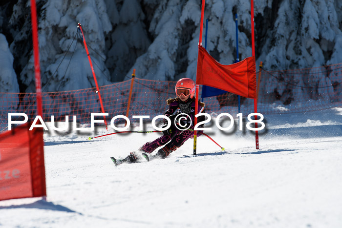 Ziener Cup WF, Finale, Quali + Parallelslalom, 24.03.2018